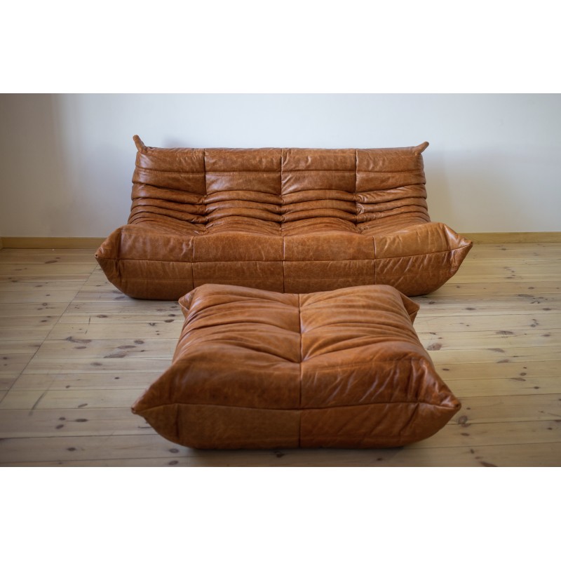 sofa set togo michel ducaroy ligne roset brown leather